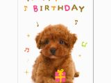 Poodle Birthday Cards ashiya Hori Mansho Do Rakuten Global Market Music Card
