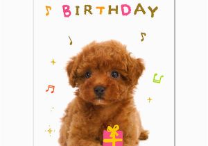 Poodle Birthday Cards ashiya Hori Mansho Do Rakuten Global Market Music Card