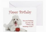 Poodle Birthday Cards Funny Poodle Birthday Card by Shopdoggifts