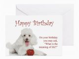 Poodle Birthday Cards Funny Poodle Birthday Card by Shopdoggifts