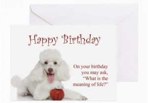 Poodle Birthday Cards Funny Poodle Birthday Card by Shopdoggifts