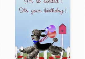 Poodle Birthday Cards Happy Birthday Excited Black Poodle In A Garden Card