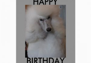 Poodle Birthday Cards Happy Birthday Poodle Card Zazzle Com