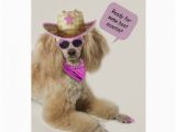 Poodle Birthday Cards Poodle Birthday Card by Focus for A Cause Zazzle