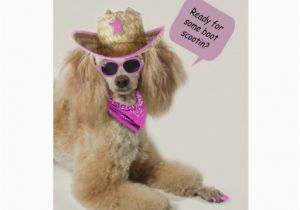 Poodle Birthday Cards Poodle Birthday Card by Focus for A Cause Zazzle