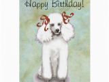 Poodle Birthday Cards White Poodle Birthday Card Zazzle