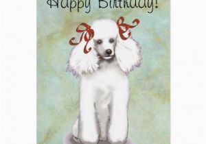 Poodle Birthday Cards White Poodle Birthday Card Zazzle