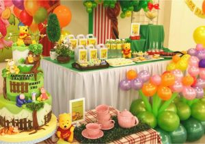 Pooh Bear Birthday Decorations Winnie the Pooh Party Decorations Ideas Elitflat