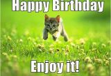 Pretty Birthday Memes Best Happy Birthday Cat Meme