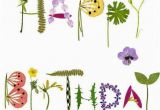 Pretty Birthday Memes Flower Birthday Memes Google Search Memes Pinterest