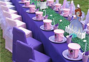 Princess sofia Birthday Decorations Princess sofia Birthday Party Ideas Photo 2 Of 8 Catch