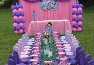 Princess sofia Birthday Party Decorations Princess sofia Birthday Party Ideas Photo 1 Of 8 Catch