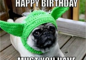 Pug Birthday Memes 50 Funny Birthday Memes Digital Mom Blog