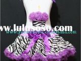 Purple Zebra Birthday Decorations Purple and Zebra Party Supplies