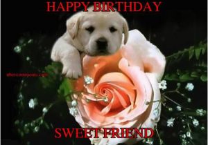 R Rated Birthday Memes Happy Birthday Sweet Friend Birthday Graphics for
