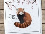 Red Panda Birthday Card Red Panda Blossoms Happy Birthday Greetings Card