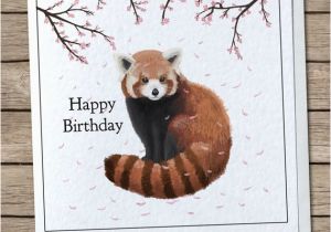 Red Panda Birthday Card Red Panda Blossoms Happy Birthday Greetings Card