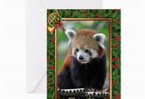 Red Panda Birthday Card Red Panda Christmas Card Greeting Card by