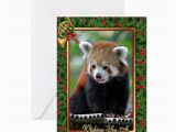 Red Panda Birthday Card Red Panda Christmas Card Greeting Card by