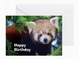 Red Panda Birthday Card Red Panda Greeting Card by Intothewildphotography