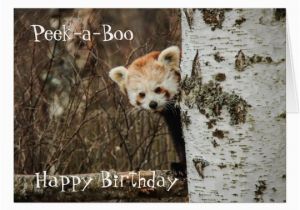 Red Panda Birthday Card Red Panda Happy Birthday Card Zazzle