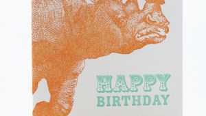 Rhino Birthday Card Rhino Birthday Card Sent Well