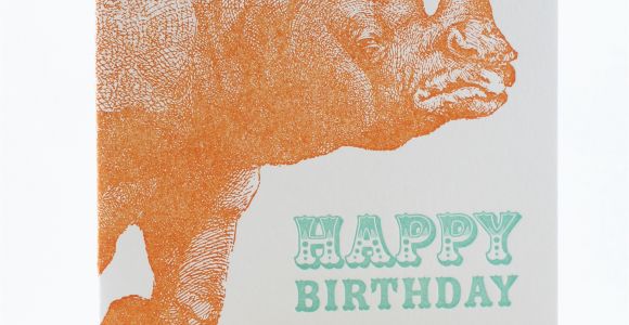 Rhino Birthday Card Rhino Birthday Card Sent Well