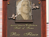 Ric Flair Birthday Card Ric Flair 39 S Birthday Celebration Happybday to