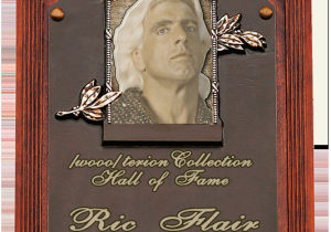 Ric Flair Birthday Card Ric Flair 39 S Birthday Celebration Happybday to