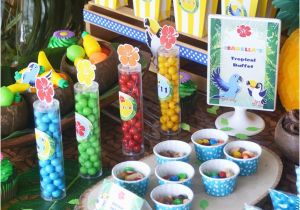 Rio Birthday Decorations Rio 2 Movie Inspired Birthday Party Party Ideas Party