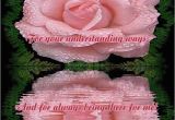 Riversongs Birthday Cards Thank You Rose for You Thank You Rose Photo Greeting Cards