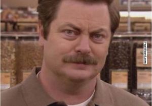 Ron Swanson Birthday Memes Ron Swanson Hilarious D Pinterest Parks Intj and Studs