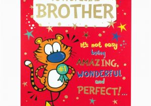 Rude Brother Birthday Cards Brother Birthday Card Funny Rude Humorous Greetings Card