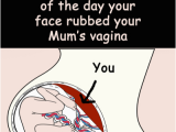 Rude Happy Birthday Quotes Funny Rude Insulting Mum S Vag Birthday Card