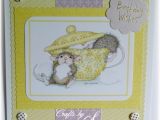 Rush Birthday Card Crafts by Sue N Sugar Rush Birthday Card