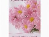 Russian Birthday Greeting Cards Russian Pink Daisy Birthday Card Zazzle