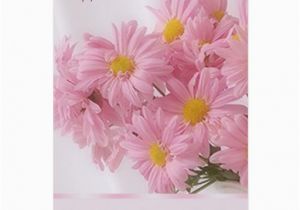 Russian Birthday Greeting Cards Russian Pink Daisy Birthday Card Zazzle