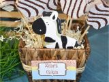 Safari Decorations for Birthday Party Jungle Safari Birthday Party