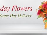 Same Day Birthday Delivery Ideas for Him Helloguan Florist Delivering Fresh Flowers Near Everett Ma