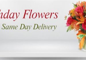 Same Day Birthday Delivery Ideas for Him Helloguan Florist Delivering Fresh Flowers Near Everett Ma