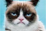 Sarcastic Birthday Memes Sarcastic Birthday Wishes Funny Messages for Those