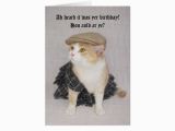 Scottish Birthday Cards Online Customizable Funny Scottish Fold Scottish Birthday Card