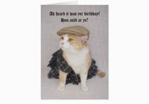 Scottish Birthday Cards Online Customizable Funny Scottish Fold Scottish Birthday Card