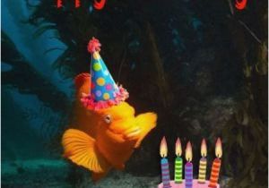 Scuba Diving Birthday Cards Birthday Boat Dive at Pt Loma Power Scuba San Diego