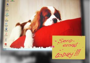 Send A Free Birthday Card by Email Email Day Free Send An Email Day Ecards Greeting Cards