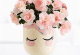 Send Birthday Flowers Cheap Send Birthday Plants Online Birthday Gift Plants