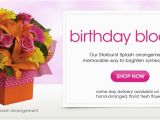 Send Birthday Flowers Same Day Send Flowers Same Day Flower Delivery Online Flowers