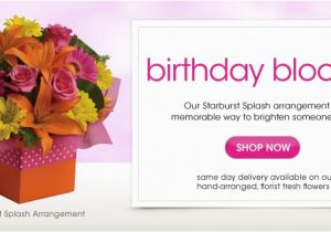 Send Birthday Flowers Same Day Send Flowers Same Day Flower Delivery Online Flowers