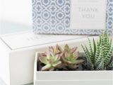 Send Birthday Gifts for Her Easy Care Indoor Succulent Garden Succulents and Sunshine