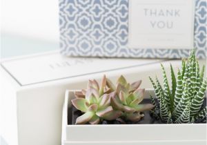 Send Birthday Gifts for Her Easy Care Indoor Succulent Garden Succulents and Sunshine